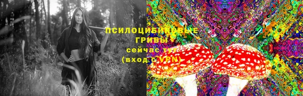 гашик Абаза