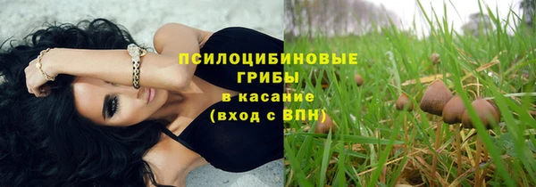 гашик Абаза